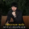 Отпускаю тебя