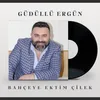 Bahçeye Ektim Çilek