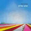 הדייגים