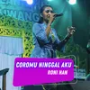 About Coromu Ninggal Aku Song