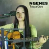 About Ngenes Song
