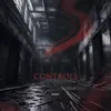 About Controls Song