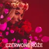 About Czerwone Róże Song