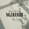About Ngerandu Song