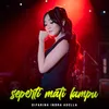 About Seperti Mati Lampu Song