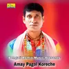 About Amay Pagol Koreche Song