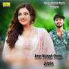 About Amar Nishash Cholbe Jotodin Song