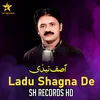 About Ladu Shagna De Song