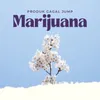 About Marijuana Song