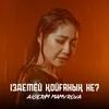 About Іздемей кеткенің не? Song