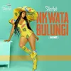 About Nkwata Bulungi (Bailamos) Song