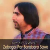 Zebagai Par Barabara Sawe