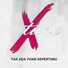 About Tak Ada Yang Sepertimu Song