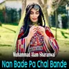 About Nan Bade Pa Chal Bande Song