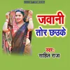 About Jawani Tor Chhauke Song