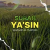 About SURAH YA'SIN Song