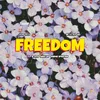 About FREEDOM Song