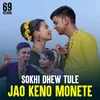 About Sokhi Dhew Tule Jao Keno Monete Song