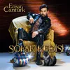 About Sokak Kedisi Song