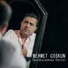 About Dolduramaz Yerini Song