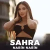 About Narin Narin Song