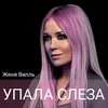 About Упала слеза Song