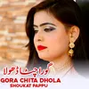 About Gora Chita Dhola Song