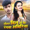 About Tohar Dil Chhau Ki Rangba Abiriya Song