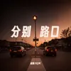 About 分别路口 Song