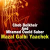 About Mazal Galbi Yaachek Song