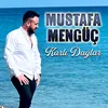 Karlı Dağlar