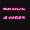 About Ne Angaraymış Song