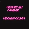 Mecnun Olsam