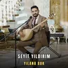 About Yılana Bak Song