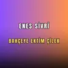 Bahçeye Ektim Çilek