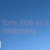 About Varázsfény Song