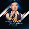 About Cơn Mưa Tình Yêu Song