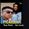 About Picayolah Song