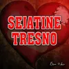 About Sejatine Tresno Song