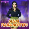 About Sesal Tiada Bertepi Song