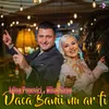 About Dacă banii nu ar fi Song