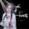 About 一别两宽 Song