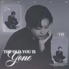 About THE OLD YOU IS GONE Song