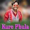 About Kure Phula Song