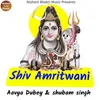About Shiv Amritwani Song