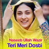 About Teri Meri Dosti Song