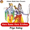 About HARE RAMA HARE KRISHNA Song