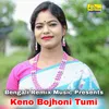 About Keno Bojhoni Tumi Song