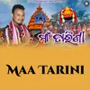 About Maa Tarini Song