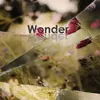 About Wonder Song